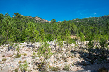Fototapeta na wymiar Piscines Naturelles auf Korsika