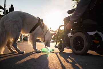 Man with disability with his service dog using electric wheelchair.