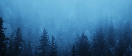 Poster de jardin Bleu automne brouillard paysage forêt montagnes, arbres vue brume