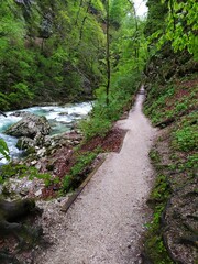 Tolmin Gorge in Triglav national park, Slovenia