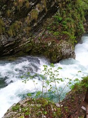 Tolmin Gorge in Triglav national park, Slovenia