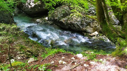 Tolmin Gorge in Triglav national park, Slovenia