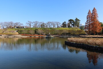 Fototapeta premium Sachino-ike Pond in Maebashi City in Cunma Prefecture in Japan 日本の群馬県前橋市にある前橋公園のさちの池