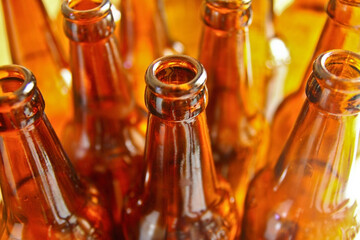 bottles of beer