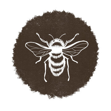 bumble bee honey logo illustration drawn label 