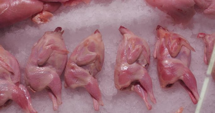 A very sad video of little dead quails lying on ice in a supermarket. A real sadness for the vegan and everyone who has pity on birds and animals