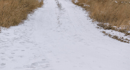 Dirt road in winter. White snow, dry grass on side of road. Winter season path concept.