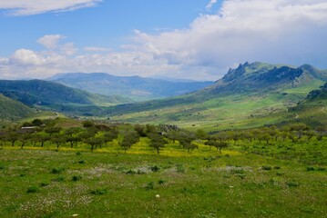 Fertile backcountry in the mountains after thunderstorm with olive tree plantation and flower meadows. Sicily, Italy.