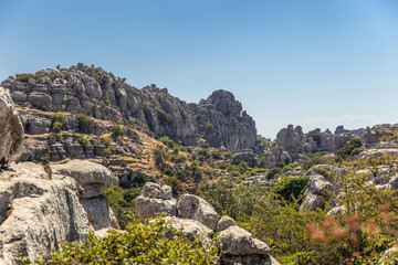 Fototapeta na wymiar El Torcal de Antequera is a nature reserve in the Sierra del Torcal mountain range located south of the city of Antequera, in the province of Málaga. The most impressive karst landscapes in Europe.