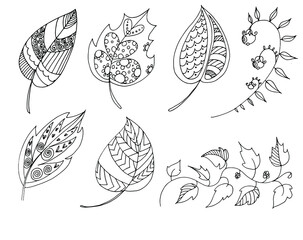 a set of vector graphic drawings of flowers and leaves in an ethnic style