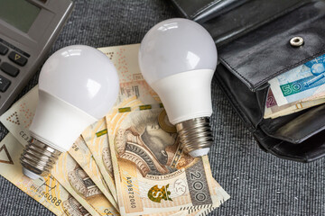 Light bulb with Polish money. Energy saving concept, electricity bill