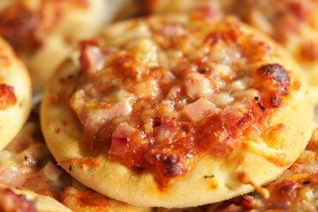 Small mini pizzas in detail. 