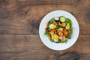 Healthy Salad with Room for Copy