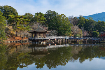 Fototapeta premium 六角堂