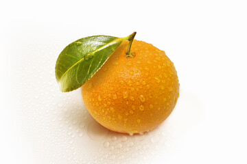 Tangerine and tangerine leaves with water droplets
