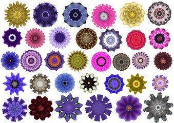 Kaleidoskopie Blüten