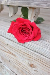 Naklejka premium red roses on wooden table