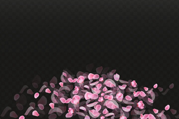 Nature horizontal black background.Pink falling sakura petals.