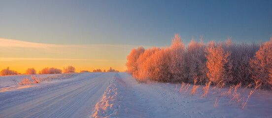 Cold winter morning with red sunlight and frost cover on the trees with road, extremely cold winter conditions