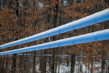 Maple Sugaring Conductor Pipe