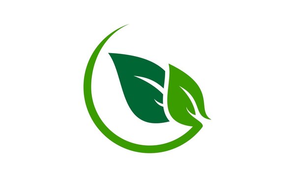 ecology green leaf logo vector