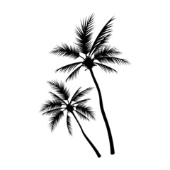 Fototapeta na wymiar Palms Hand Drawn Composition