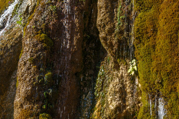 A small waterfall flows down the mossy rocks. Grishkina Balka, Karachay-Cherkess Republic, Russia