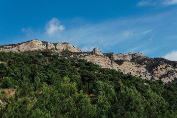 Naklejka premium beautiful landscape of the rock green forest and blue sky