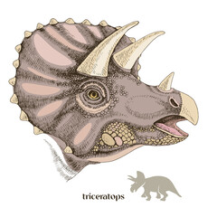 Hand drawn realistic dinosaurus Triceratops © Marina Gorskaya