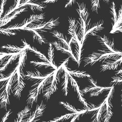 Fir branch seamless pattern. White branches on a dark background