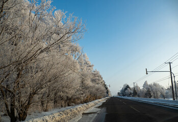 真冬の北海道の凍結道路と樹氷