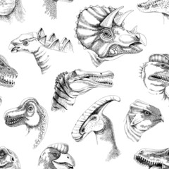 Hand drawn seamless pattern with dinosaurs. © Marina Gorskaya