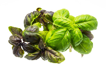 Fresh, organic basil leaves isolated on white, close up. Green and purple basil herb.