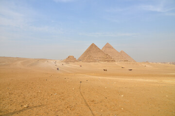 Fototapeta na wymiar The pyramids at Giza in the desert.