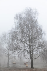 Fototapeta na wymiar playground and trees in the fog