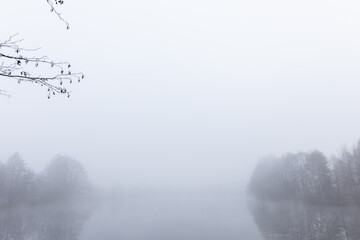 misty morning in the forest on the lake
