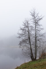 Plakat misty morning on the river