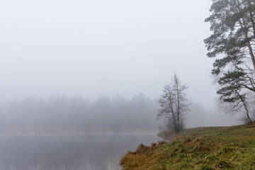 misty morning on the lake coast