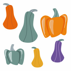 A set of pumpkins of different colors and sizes. Halloween decor. Graphic icon or seal isolated on white background.