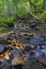 Der Schwarzbach am Holzberghof oberhalb der Stadt Bischofsheim a.d.Rhön, Biosphärenreservat Rhön, Landkreis Rhön-Grabfeld, Unterfranken, Franken, Bayern, Deutschland