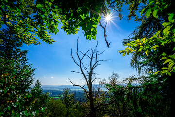 Hiking to the Kuernburg near Stamsried in the Bavarian Forests 