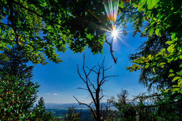 Fototapeta premium Hiking to the Kuernburg near Stamsried in the Bavarian Forests 