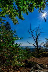 Hiking to the Kuernburg near Stamsried in the Bavarian Forests 
