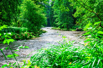 Hiking Ilztal between Schrottenbaummill and Fuersteneck in the Bavarian Forests 