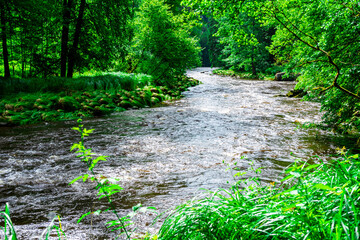 Obraz premium Hiking Ilztal between Schrottenbaummill and Fuersteneck in the Bavarian Forests 