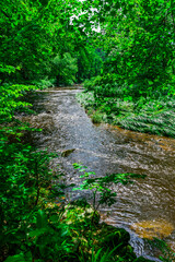Obraz premium Hiking Ilztal between Schrottenbaummill and Fuersteneck in the Bavarian Forests 