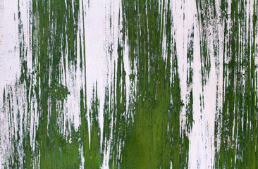 Fototapeta premium Abstract background with green and white paint