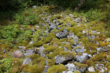 Trockenes Flußbett nahe Fresvik / Dry riverbed near Fresvik /