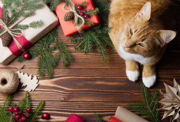 a red-haired cat sits on a dark wooden table and watches the camera. next to gifts, for paper packaging, red ribbons and diy decor for the Christmas tree. 