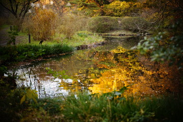 植物園の紅葉の風景